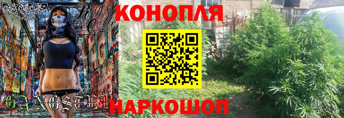 Канабис сатива Бердск